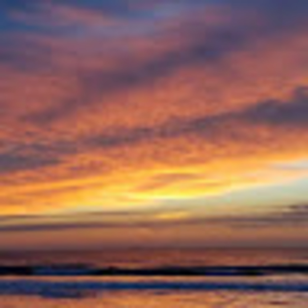 Meet your Posher, Hayden